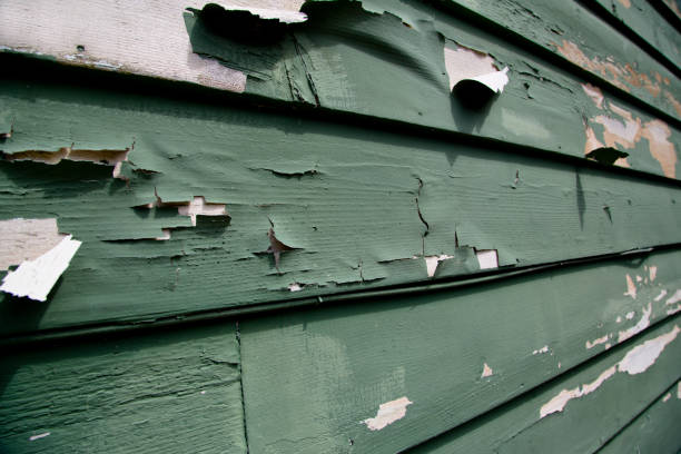 Trusted Dyer, IN Junk Removal Experts